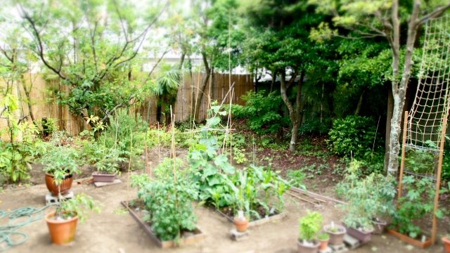 ポタジェガーデンとは お庭のデザインと作り方の話 園芸男子roroのポタジェ大作戦